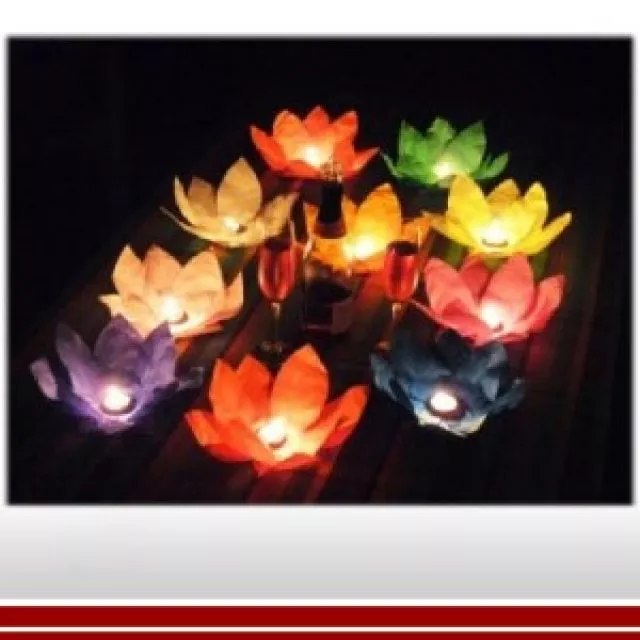 Water lanterns (lucky flower)set of 6.