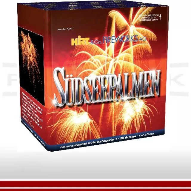 Südseepalmen - Batteriefeuerwerk 1 August