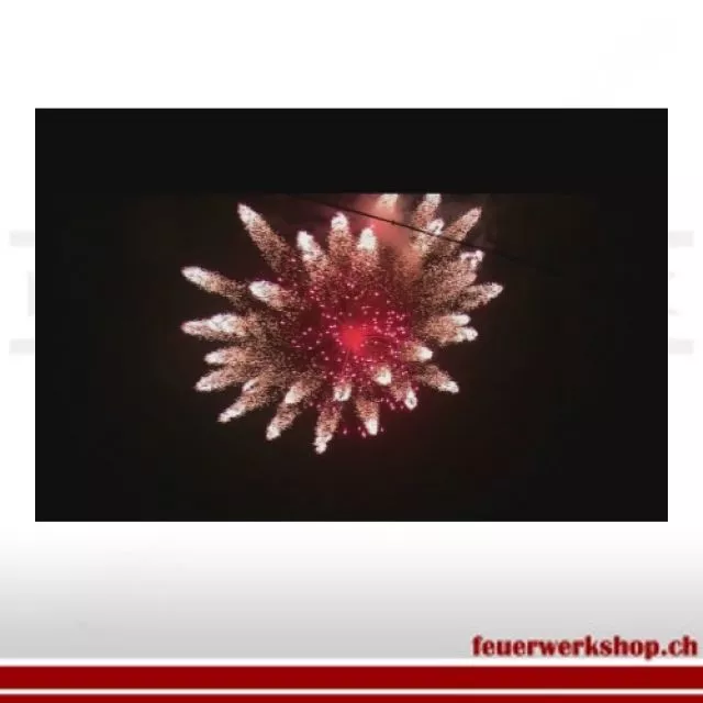 Red Center Farfalle 5 - Zylinderbombe