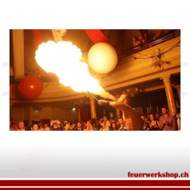 Fire show with pyrotechnics 5-15 minutes