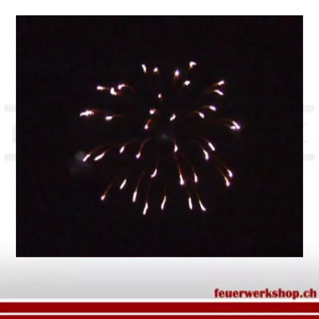 Feuerwerk Kugelbombe Kamuro 3