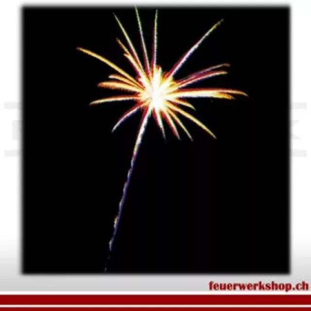 Feuerwerk Orange Tail_8Sh 45mm (römisches licht)