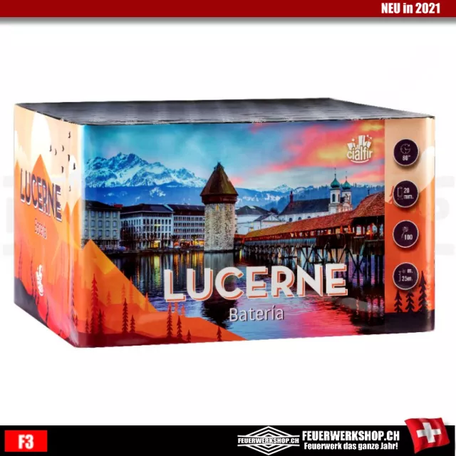 Silvester Feuerwerk *Lucerne*