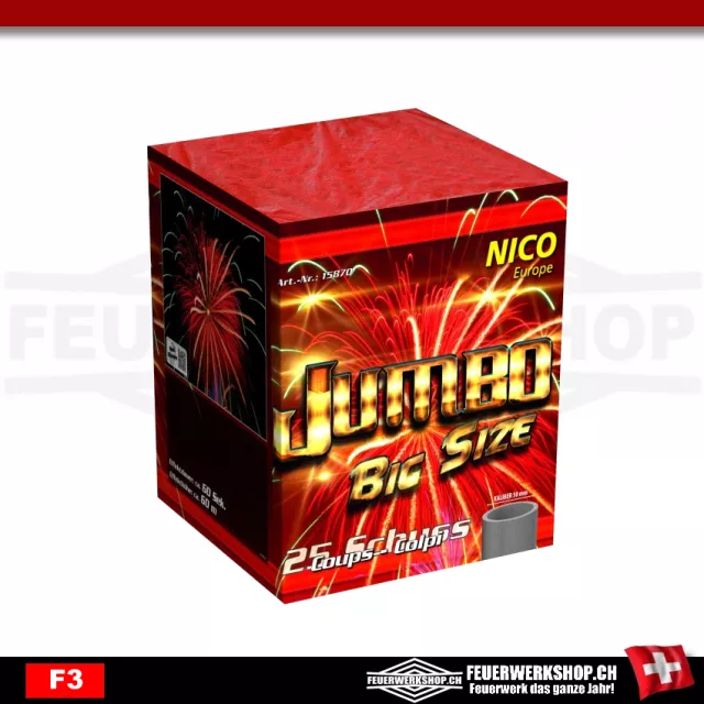 Jumbo Big Size firework battery